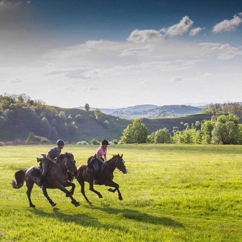 Transylvania Tours